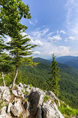 Romanya Alpleri 'nde yaz mevsiminde, uzak ve vahşi bir yerde muhteşem bir manzara.