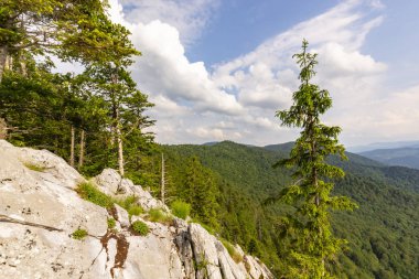 Romanya Alpleri 'nde yaz mevsiminde, uzak ve vahşi bir yerde muhteşem bir manzara.