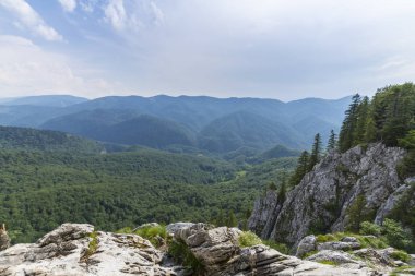 Romanya Alpleri 'nde yaz mevsiminde, uzak ve vahşi bir yerde muhteşem bir manzara.