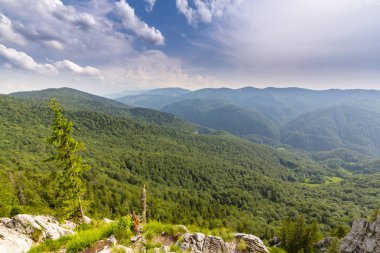Romanya Alpleri 'nde yaz mevsiminde, uzak ve vahşi bir yerde muhteşem bir manzara.
