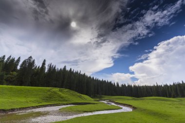 Romanya'da uzak bir kırsal alanda bozulmamış vadi ve dağ çayırı