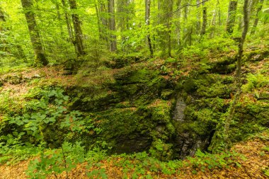 Romanya Alpleri 'nde yaz mevsiminde, uzak ve vahşi bir yerde muhteşem bir manzara.
