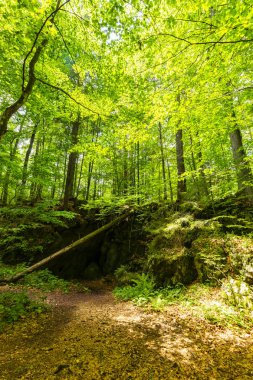 Romanya Alpleri 'nde yaz mevsiminde, uzak ve vahşi bir yerde muhteşem bir manzara.