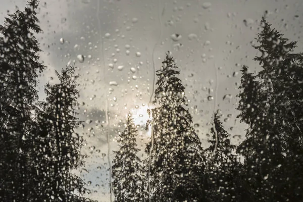 Piękny Widok Drzew Jodłowych Okna Kabiny Górach Pokryte Deszczem Krople — Zdjęcie stockowe