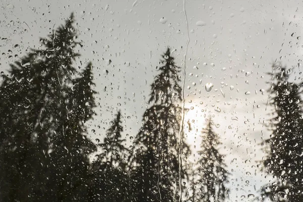 Schöne Aussicht Auf Tannen Aus Einem Kabinenfenster Den Bergen Bedeckt — Stockfoto
