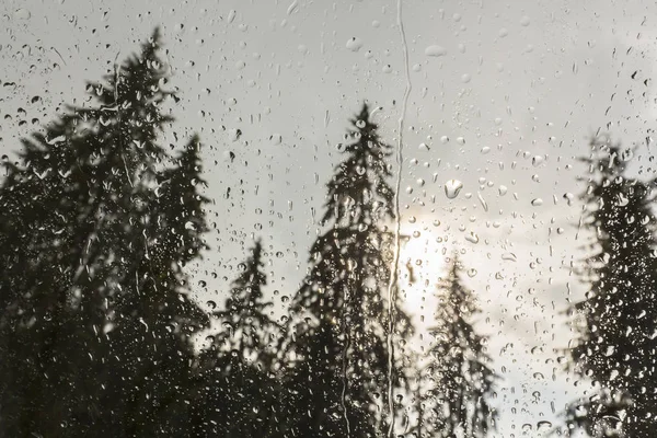 Beautiful View Fir Trees Cabin Window Mountains Covered Rain Drops — Stock Photo, Image