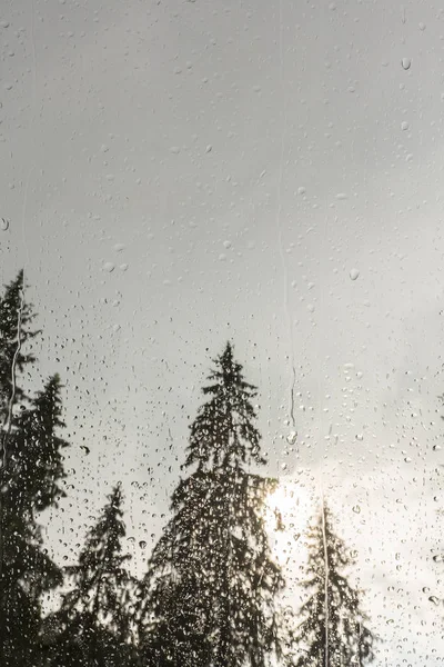山中小木屋窗户的杉树美景 被雨滴和雨云覆盖 — 图库照片