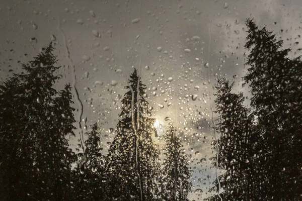 Krásný Pohled Jedle Okna Kabiny Horách Pokrytý Dešťové Kapky Mraky — Stock fotografie