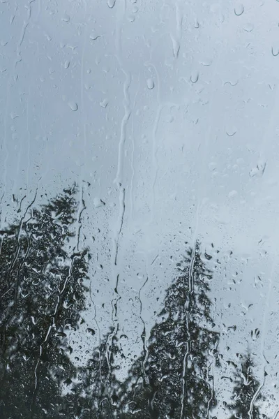 山中小木屋窗户的杉树美景 被雨滴和雨云覆盖 — 图库照片