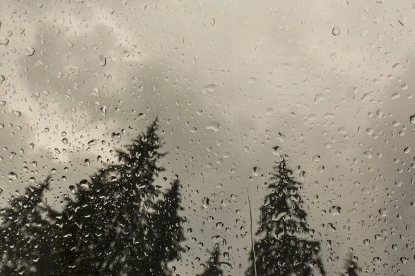 Bela Vista Abetos Uma Janela Cabana Nas Montanhas Coberta Gotas — Fotografia de Stock