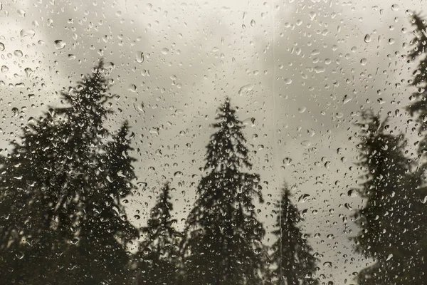 Beautiful View Fir Trees Cabin Window Mountains Covered Rain Drops — Stock Photo, Image