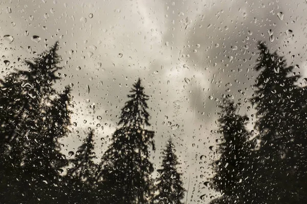 Beautiful View Fir Trees Cabin Window Mountains Covered Rain Drops — Stock Photo, Image