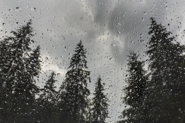 Beautiful View Fir Trees Cabin Window Mountains Covered Rain Drops — Stock Photo, Image
