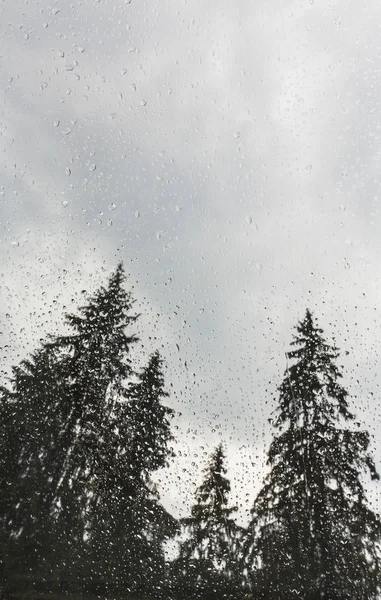 山中小木屋窗户的杉树美景 被雨滴和雨云覆盖 — 图库照片
