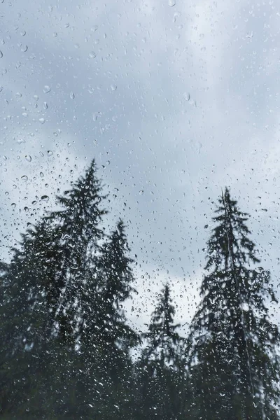 Schöne Aussicht Auf Tannen Aus Einem Kabinenfenster Den Bergen Bedeckt — Stockfoto