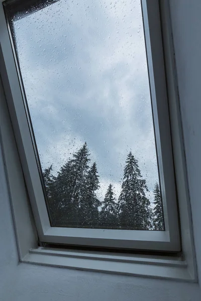 Schöne Aussicht Auf Tannen Aus Einem Kabinenfenster Den Bergen Bedeckt — Stockfoto