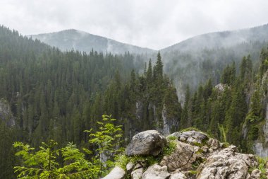 Transilvanya Alpleri'nde güzel dağ manzarası, sis bulutları ile, yaz aylarında