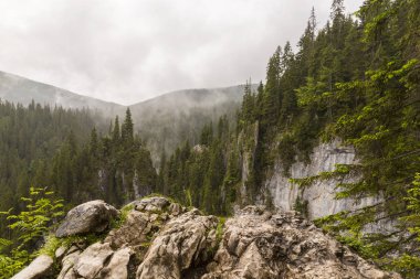 Transilvanya Alpleri'nde güzel dağ manzarası, sis bulutları ile, yaz aylarında
