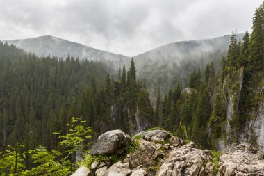 Transilvanya Alpleri'nde güzel dağ manzarası, sis bulutları ile, yaz aylarında