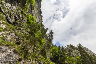 Romanya Alpleri 'nde yaz mevsiminde, uzak ve vahşi bir yerde muhteşem bir manzara.