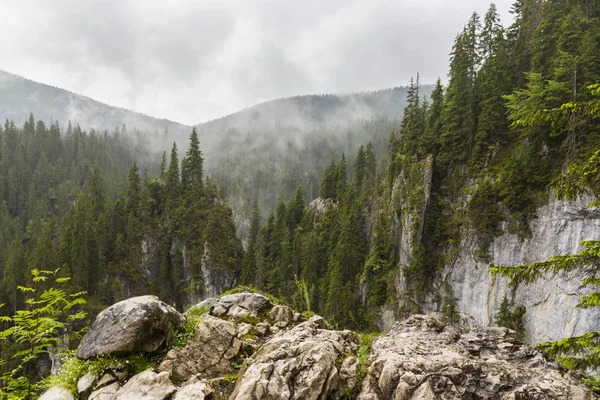 Vackra Bergslandskap Transylvanian Alperna Med Dimma Moln Sommaren — Stockfoto