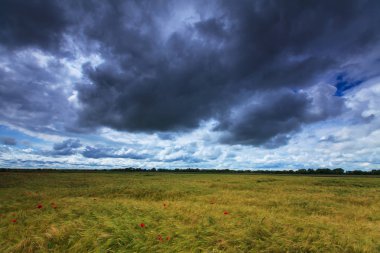 Summer scenery with dramatic storm clouds and rural fields