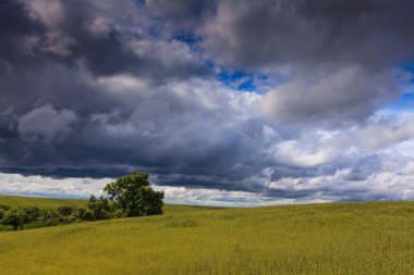 Summer scenery with dramatic storm clouds and rural fields