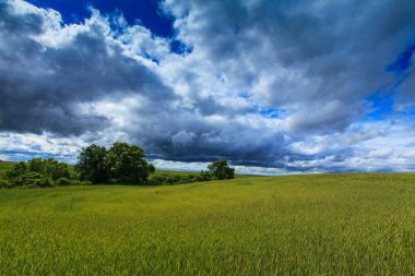 Summer scenery with dramatic storm clouds and rural fields