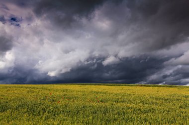 Summer scenery with dramatic storm clouds and rural fields