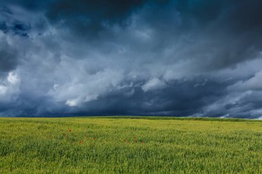 Summer scenery with dramatic storm clouds and rural fields