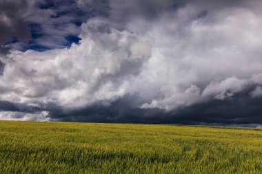 Summer scenery with dramatic storm clouds and rural fields