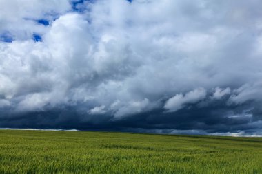 Summer scenery with dramatic storm clouds and rural fields