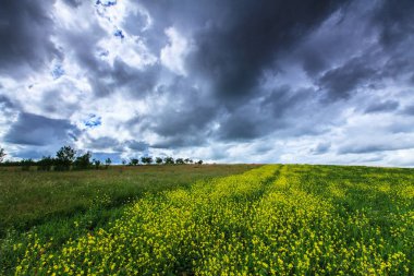 Summer scenery with dramatic storm clouds and rural fields