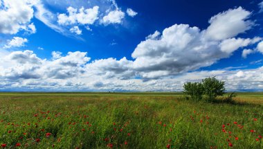 Summer scenery with dramatic storm clouds and rural fields