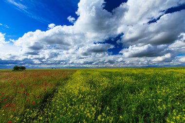 Summer scenery with dramatic storm clouds and rural fields