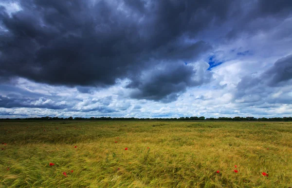 Summer Scenery Dramatic Storm Clouds Rural Fields — Photo
