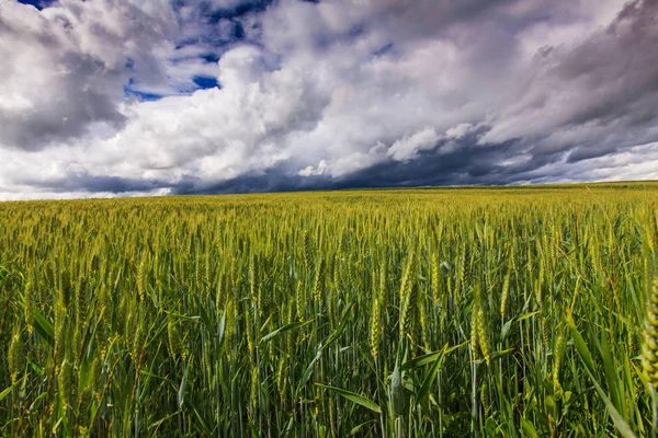 Summer Scenery Dramatic Storm Clouds Rural Fields — Foto de Stock