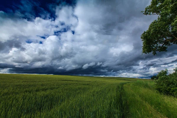 Summer Scenery Dramatic Storm Clouds Rural Fields — Foto de Stock