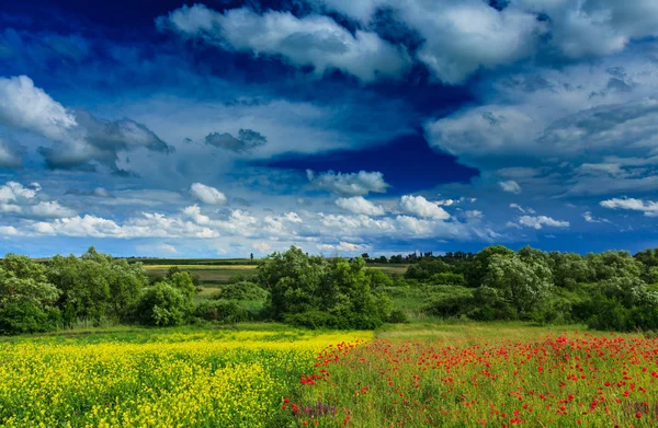 野生の赤いケシの花が咲く夏の美しい田園地帯と劇的な嵐の雲 — ストック写真