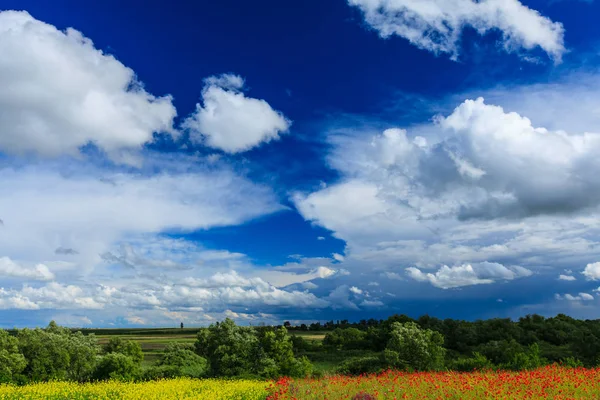 Hermosos Campos Rurales Verano Con Flores Amapola Roja Salvaje Nubes — Foto de Stock