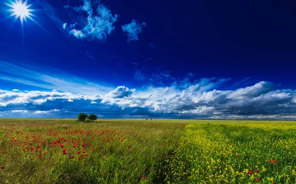 Summer Scenery Dramatic Storm Clouds Rural Fields — ストック写真