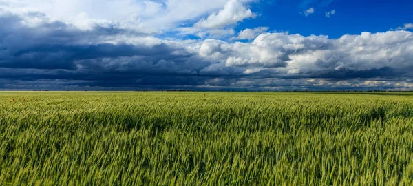 Summer Scenery Dramatic Storm Clouds Rural Fields — Foto de Stock