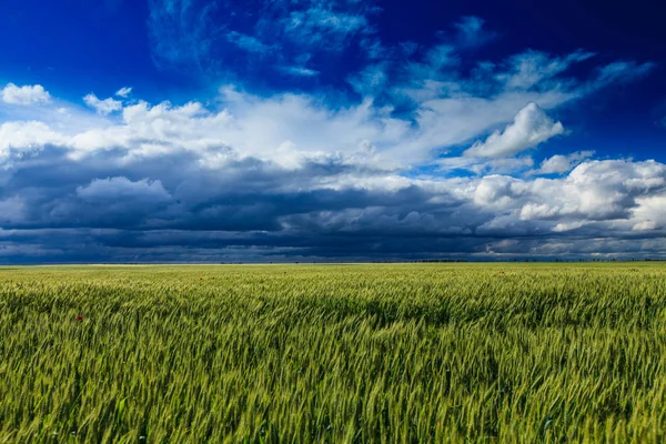 Summer Scenery Dramatic Storm Clouds Rural Fields — Foto de Stock