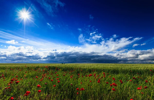 Summer Scenery Dramatic Storm Clouds Rural Fields — Stockfoto