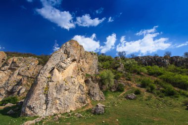 Romanya Alpleri 'nde yaz mevsiminde, uzak ve vahşi bir yerde muhteşem bir manzara.
