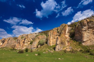 Romanya Alpleri 'nde yaz mevsiminde, uzak ve vahşi bir yerde muhteşem bir manzara.