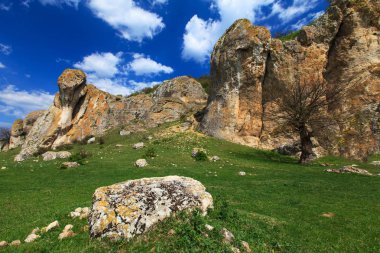 Romanya Alpleri 'nde yaz mevsiminde, uzak ve vahşi bir yerde muhteşem bir manzara.