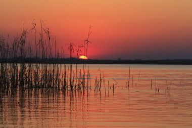 Yazın Tuna Deltası 'nda güzel günbatımı renkleri ve su yansımaları