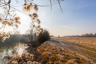 Kış manzarası, buzlu ve vahşi nehir kıyısında taze kar.