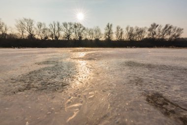 Soğuk bir kış sabahı, vahşi bir nehir kıyısında, kar ve donla